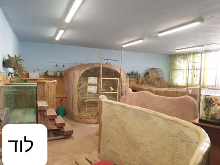 sabawaab (4).jpg.jpg